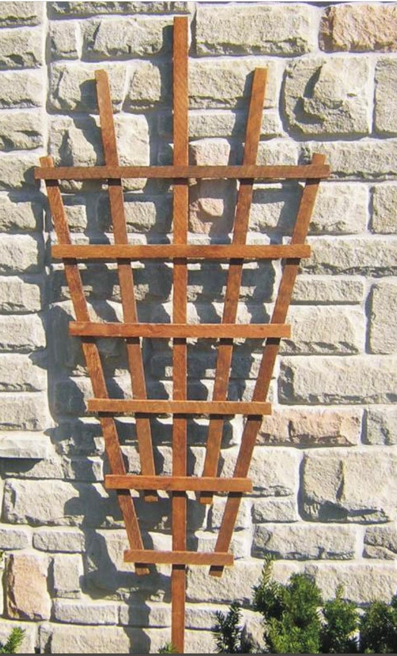 Fan Trellis | The Canadian woodenware manufacturing